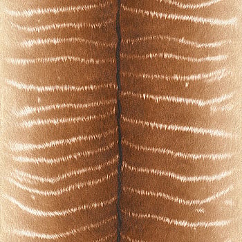 Galerie Wallcoverings Product Code 473520 - African Queen 2 Wallpaper Collection -   