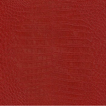 Galerie Wallcoverings Product Code 474114 - African Queen 2 Wallpaper Collection -   